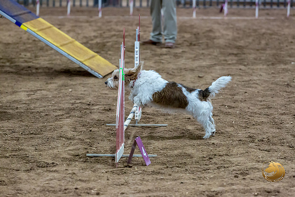 Agility T2B Regional 8%22 ChloeJJJ_5066-PBGVKrvlTX2019-HR3