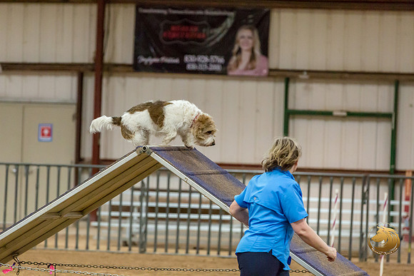 Agility T2B Regional 8%22 ChloeJJJ_5072-PBGVKrvlTX2019-HR3