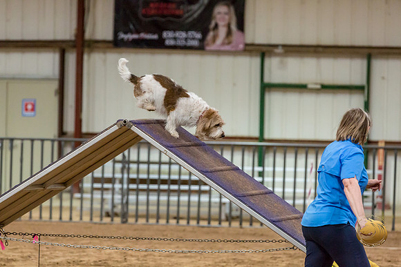 Agility T2B Regional 8%22 ChloeJJJ_5073-PBGVKrvlTX2019-HR3