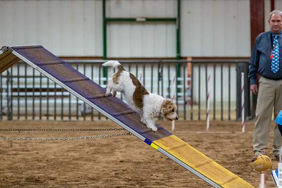 Agility T2B Regional 8%22 ChloeJJJ_5075-PBGVKrvlTX2019-HR3