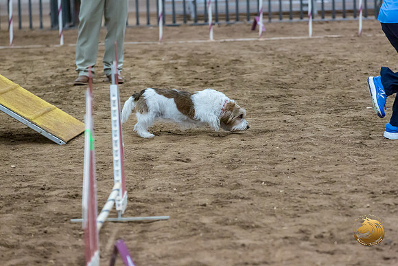 Agility T2B Regional 8%22 ChloeJJJ_5078-PBGVKrvlTX2019-HR3