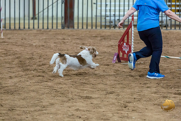 Agility T2B Regional 8%22 ChloeJJJ_5079-PBGVKrvlTX2019-HR3