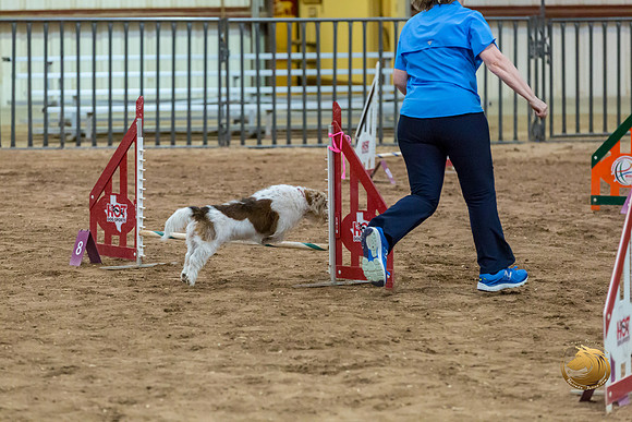 Agility T2B Regional 8%22 ChloeJJJ_5080-PBGVKrvlTX2019-HR3
