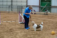 Agility T2B Regional 8" Chloe-2
