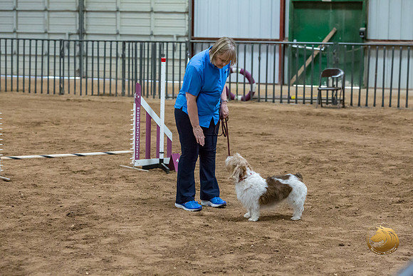 Agility T2B Regional 8%22 Chloe-2JJJ_5615-PBGVKrvlTX2019-HR3