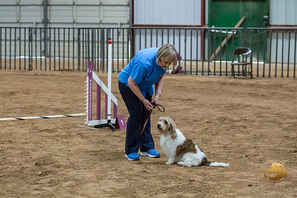 Agility T2B Regional 8%22 Chloe-2JJJ_5617-PBGVKrvlTX2019-HR3
