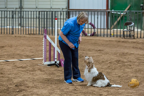 Agility T2B Regional 8%22 Chloe-2JJJ_5618-PBGVKrvlTX2019-HR3