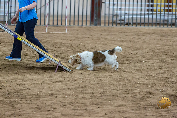 Agility T2B Regional 8%22 Chloe-2JJJ_5627-PBGVKrvlTX2019-HR3