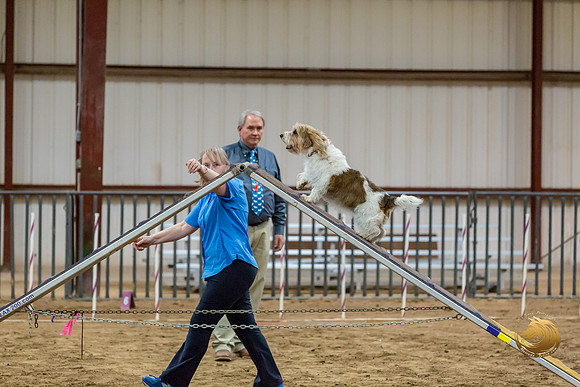 Agility T2B Regional 8%22 Chloe-2JJJ_5631-PBGVKrvlTX2019-HR3