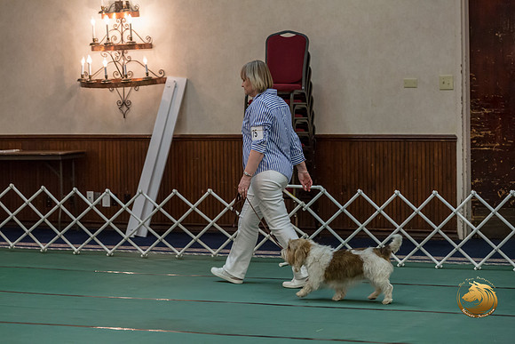 Obed Vet #75 Marcia McGinnis Reg Judge Nancy SimmonsJJJ_7677-PBGVKrvlTX2019-HR3