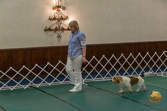Obed Vet #75 Marcia McGinnis Reg Judge Nancy SimmonsJJJ_7688-PBGVKrvlTX2019-HR3