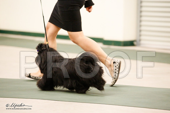 _JN_9288-NrmnNov2014-HR3