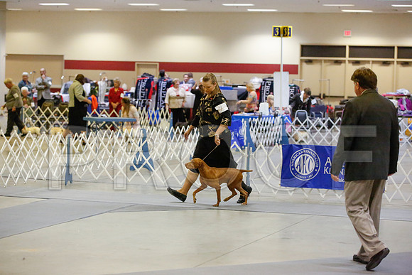 _JN_9267-AmarilloSept2014-HR3