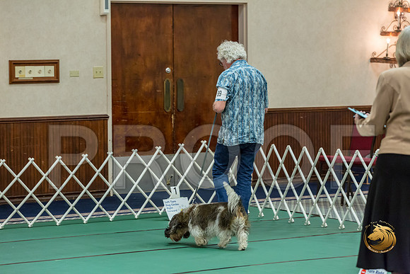 Rally Int #89 Steve Roche Reg Judge Nancy SimmonsJJJ_8476-PBGVKrvlTX2019-HR3