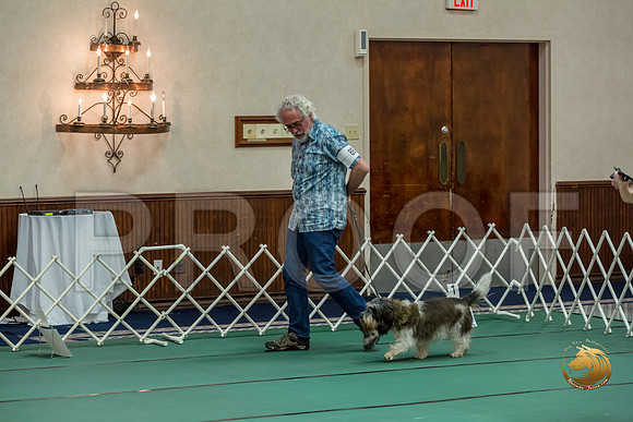 Rally Int #89 Steve Roche Reg Judge Nancy SimmonsJJJ_8479-PBGVKrvlTX2019-HR3