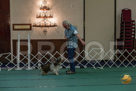 Rally Int #89 Steve Roche Reg Judge Nancy SimmonsJJJ_8487-PBGVKrvlTX2019-HR3