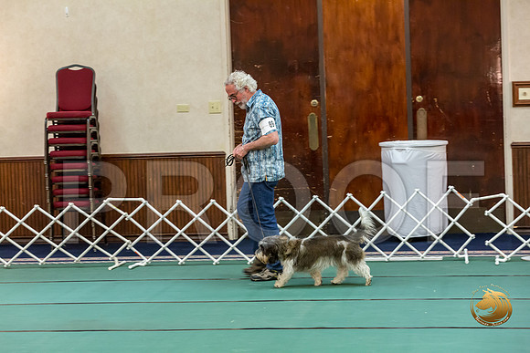 Rally Int #89 Steve Roche Reg Judge Nancy SimmonsJJJ_8490-PBGVKrvlTX2019-HR3