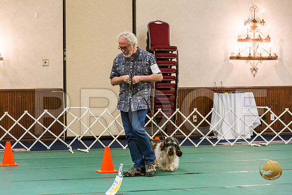 Rally Thurs Int #89 Steve Roche Judge Nancy SimmonsJJJ_9868-PBGVKrvlTX2019-HR3