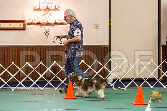 Rally Thurs Int #89 Steve Roche Judge Nancy SimmonsJJJ_9870-PBGVKrvlTX2019-HR3