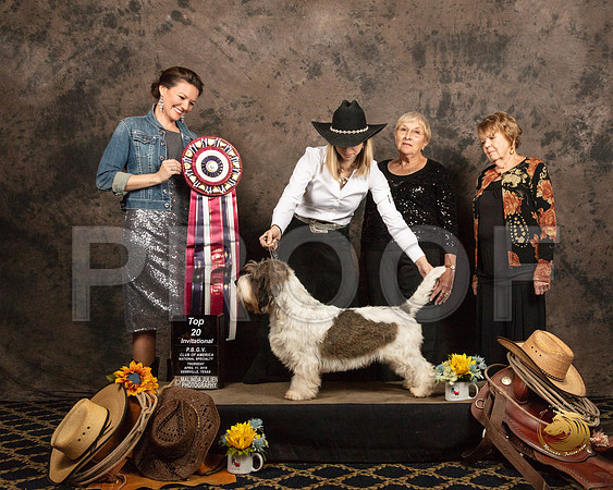Top Twenty #111 Gwen Hvikeshoven Judges Nicole Conner Helen Ingher Luane WilliamsSSR_5408-PBGVKrvlTX2019-HR3