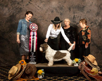Top Twenty #111 Gwen Hvikeshoven Judges Nicole Conner Helen Ingher Luane Williams