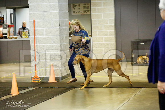 _RH_1411-BeltonJan2015IABCA-HR3