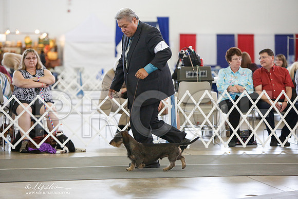 _JJ_2911-DallasJul2014-HR3