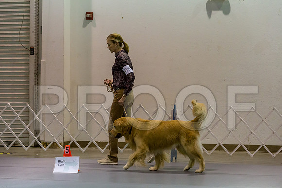 #61 Fri BegNovA Judge Patricia Maynard_JJJ_7716_Msqte2019-HR3