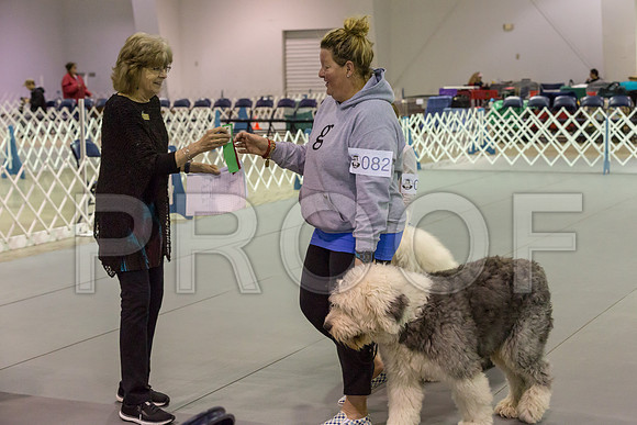 Fri BegNovA Awards Judge Patricia Maynard_JJJ_7833_Msqte2019-HR3