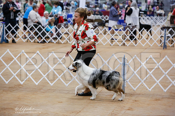 _JN_3487-TxArJun2014-HR3