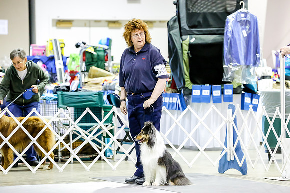 #0130 Fri Nov B Judge Marilou McCloskey__CL_2633_Msqte2019-HR3