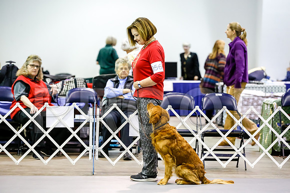 #56 Pref Nov Fri Judge Marilou McCloskey__CL_3504_Msqte2019-HR3