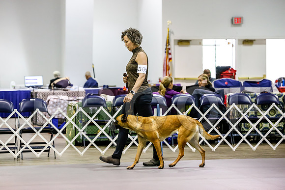 #57 Pref Nov Fri Judge Marilou McCloskey__CL_3612_Msqte2019-HR3