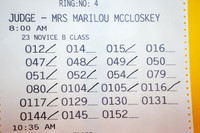 Nov B Ring 4 Fri Judge Marilou McCloskey