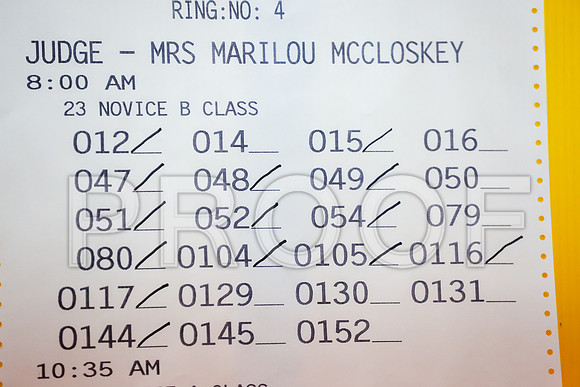 Nov B Ring 4 Fri Judge Marilou McCloskey__CL_1153_Msqte2019-HR3