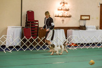Kristina Krieck AMD PBGV 2019