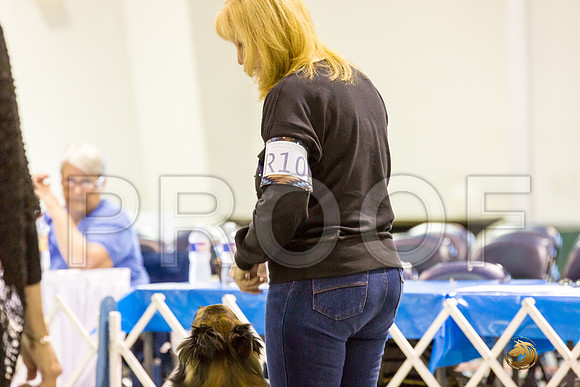 #R10 Fri Rally Master Judge Patricia Maynard_JJJ_7841_Msqte2019-HR3