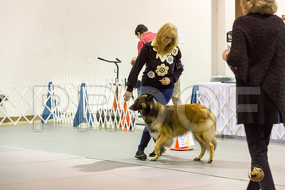 #R10 Fri Rally Master Judge Patricia Maynard_JJJ_7843_Msqte2019-HR3