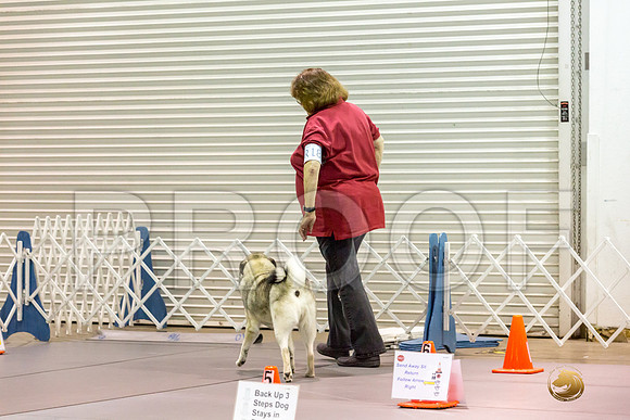 #R18 Fri Rally Master Judge Patricia Maynard_JJJ_7914_Msqte2019-HR3