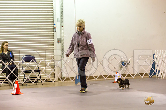 #R69 Fri Rally Master Judge Patricia Maynard_JJJ_8987_Msqte2019-HR3