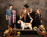 Top Twenty #102 Cindy Wilt Judges Nicole Conner Helen Ingher Luane Williams