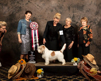 Top Twenty #103 Paty Opperman Judges Nicole Conner Helen Ingher Luane Williams