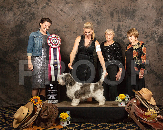 Top Twenty #105 Donna Moore Judges Nicole Conner Helen Ingher Luane WilliamsSSR_5378-PBGVKrvlTX2019-HR3
