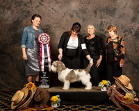 Top Twenty #107 Brianna Major Judges Nicole Conner Helen Ingher Luane Williams