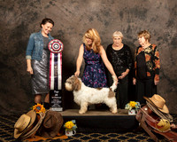Top Twenty #108 Phillip Wilt Judges Nicole Conner Helen Ingher Luane Williams