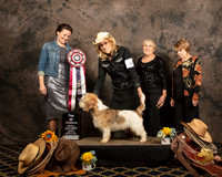 Top Twenty #109 Patti Whitlock Judges Nicole Conner Helen Ingher Luane Williams