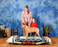 Australian Cattle Dog #8 Sat RWB +A1