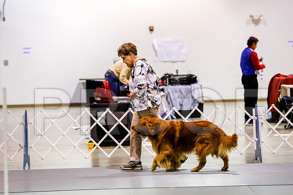 #059 Sat PrefUt Judge Judge Sharon Hodgens Wood__CL_6434_Msqte2019-HR3