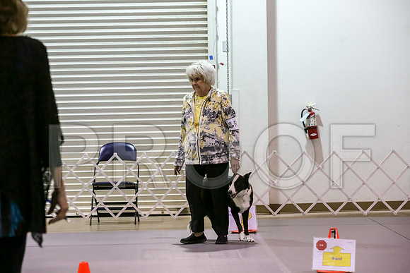 #R21 Fri RallyAdvB Judge Patricia Maynard_JJJ_1008_Msqte2019-HR3