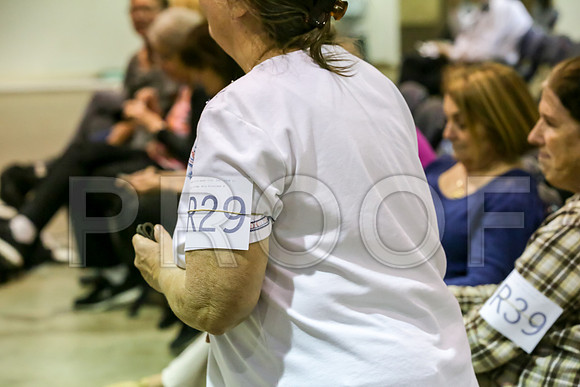 #R29 Fri RallyAdvB Judge Patricia Maynard_JJJ_1048_Msqte2019-HR3